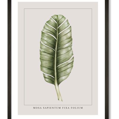 Banana Leaf Print - A4