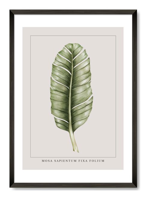 Banana Leaf Print - A3