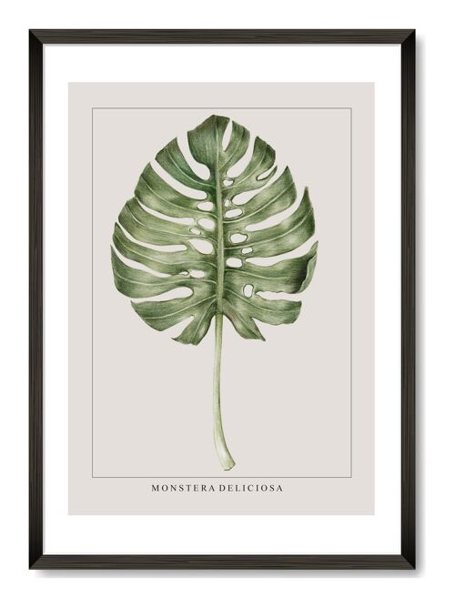 Monstera Leaf Print - A4