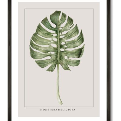 Monstera Leaf Print - A4