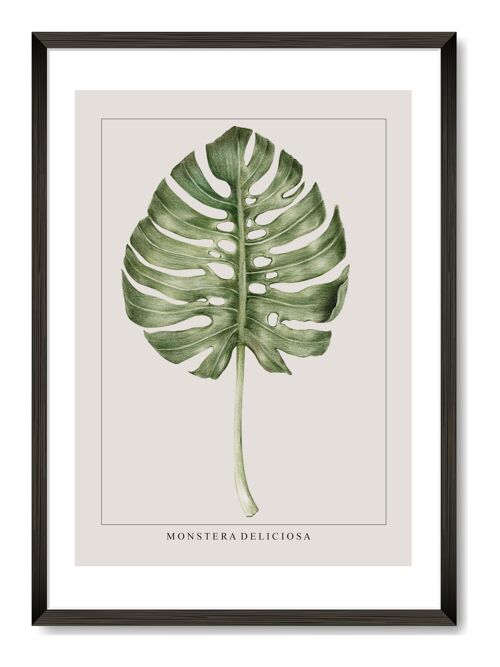 Monstera Leaf Print - A3