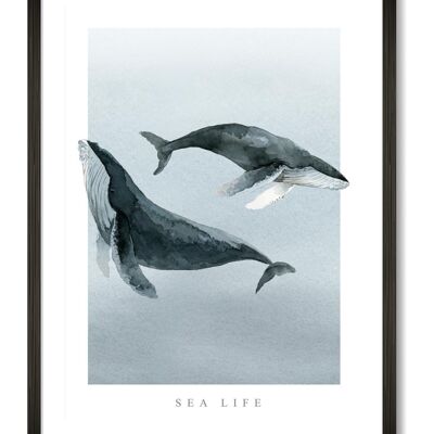 Vida marina - A4