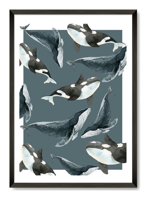 Sea Life Big Fish Print - a4