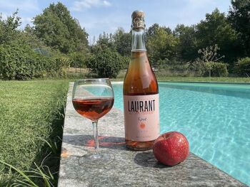 Laurant & D'Anvair Rosé | 75cl 3