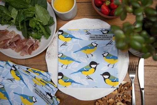 Blue and Great Tit Print Napkin (Set of 2)