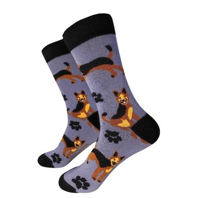 Dogs Socks - Tangerine Socks