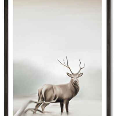 Stag - A3