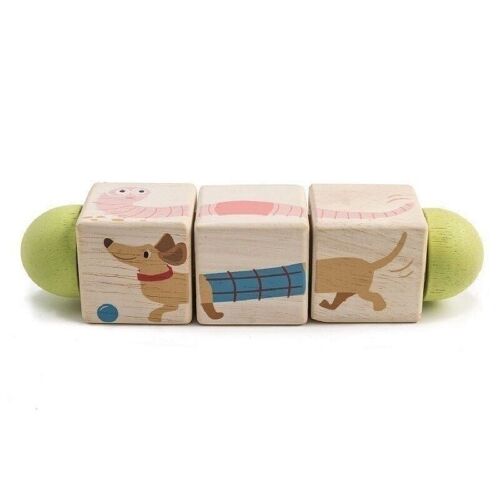 Twisting Cubes Tender Leaf Wooden Matching Toy