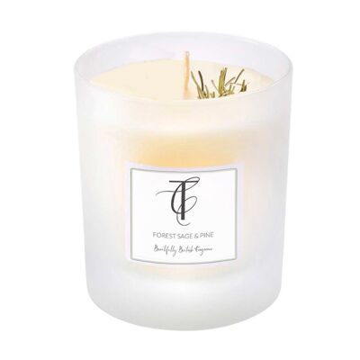 Seasonal Pastels - Forest Sage Pine Medium Glass Candle