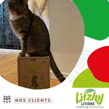 Litzhy Landes : Litière Végétale pour Chats, Landes Bretonnes, 6L 3