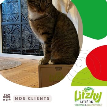 Litzhy Colza : Litière Végétale pour Chats et Petits Animaux, Paille de Colza, 6L 2