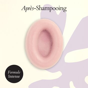 Après-Shampooing solide 1