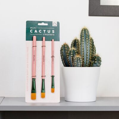 Mini pulitori per cactus