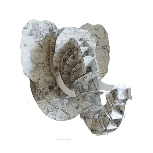 Trophée d'animal en carton 3D tête d'éléphant  Map