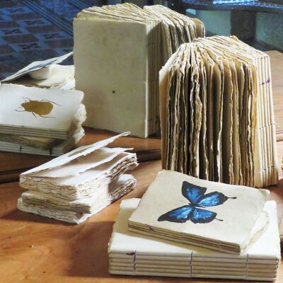 Carnet en papier parchemin Cabinet de curiosités papillon et scarabée A6