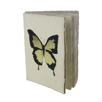 Carnet en papier parchemin Cabinet de curiosités papillon et scarabée A6 5