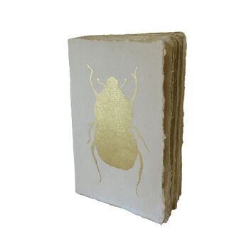 Carnet en papier parchemin Cabinet de curiosités papillon et scarabée A6 6