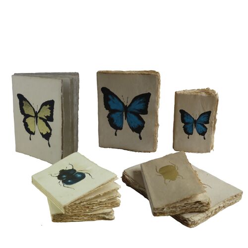 Carnet en papier parchemin Cabinet de curiosités papillon et scarabée A5