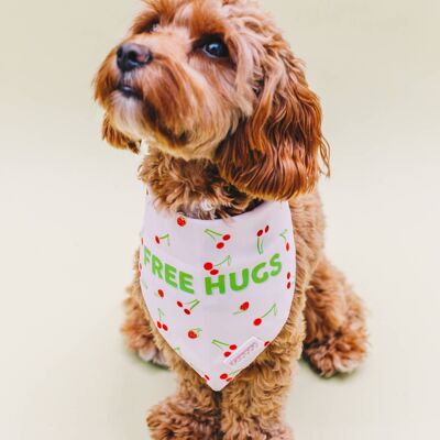 Free Hugs & Love Yourself Double Sided Pet Bandana