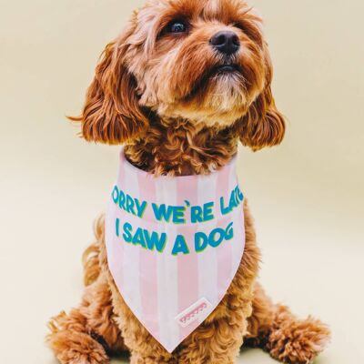 Live, Bark, Love & Sorry We're Late Double Sided Pet Bandana