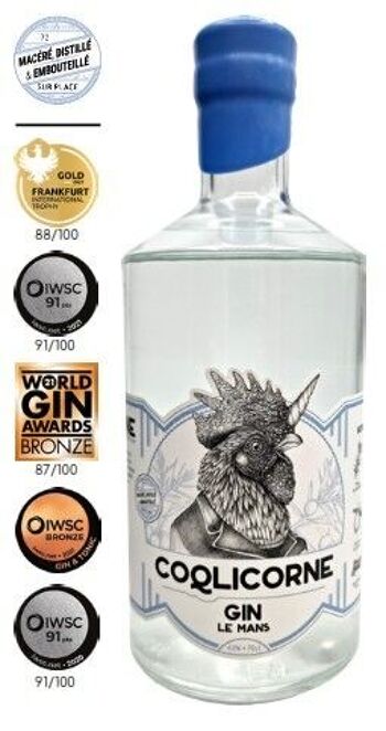 GIN LE MANS DRY - 70 cl - 43%.vol - Distillerie Coqlicorne 2