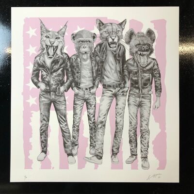 Banda punk animale - Bandiera rosa