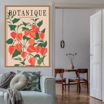 Imprimé floral illustré Botanique 3