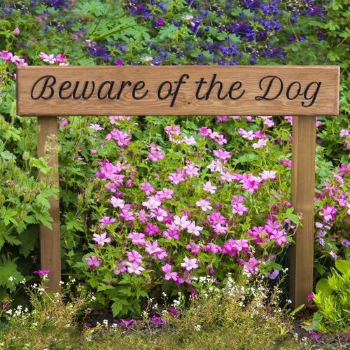 Engraved Wooden Sign 60cm with Posts - "Beware of the Dog"