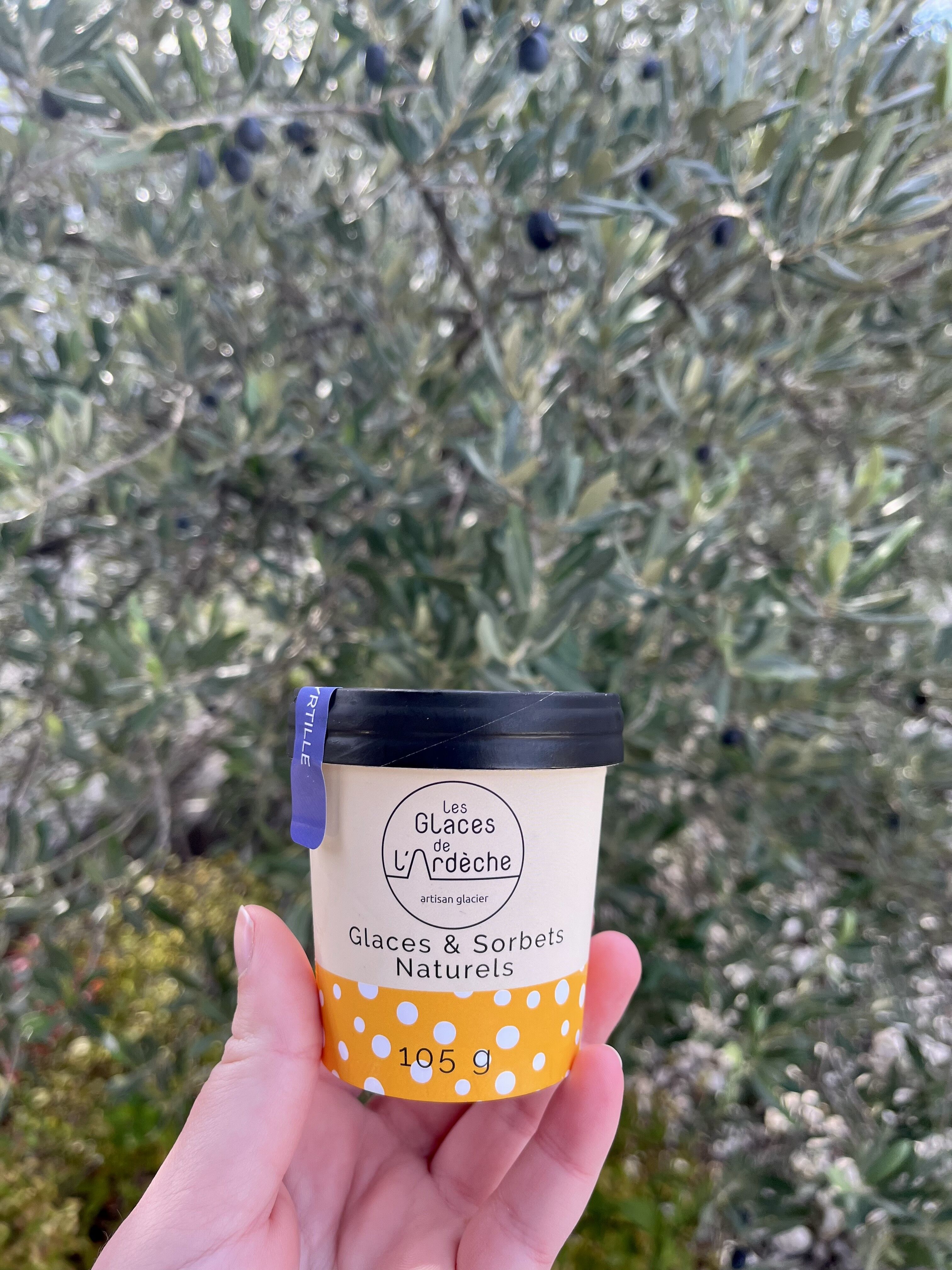 Schachtel mit 12 ganzen Vanilleschoten-Pool-Gläsern