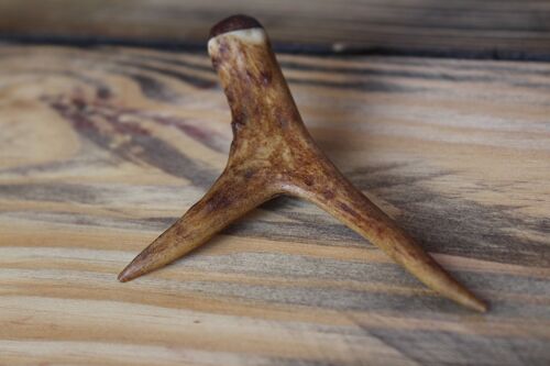 Upcycled roe deer antler & wood pin