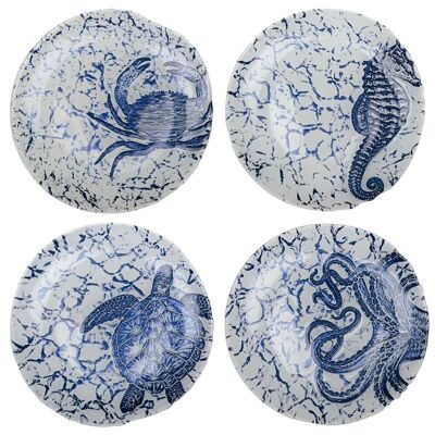 Set 4 assiettes marine 21cm