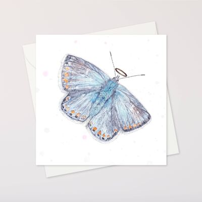 papillon avec carte de Noël auréolée