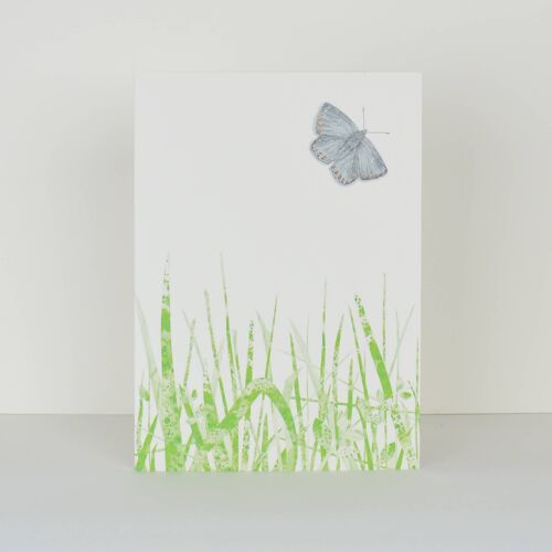 fluro butterfly and grasses greetings card