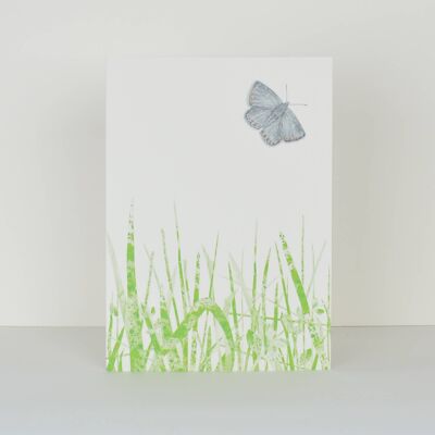 tarjeta de felicitación fluro mariposa y pastos