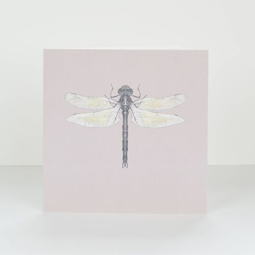 dragonfly greetings card