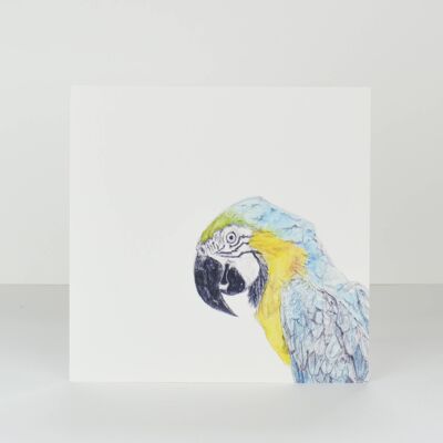 Papagei-Grußkarte