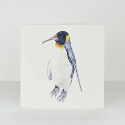 penguin greetings card