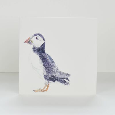 puffin greetings card