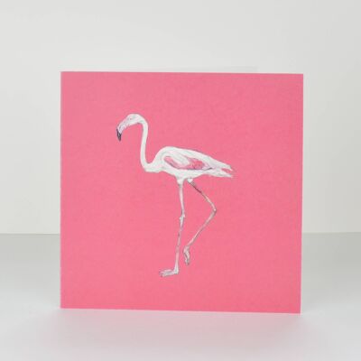 tarjeta de felicitaciones de flamenco rosa