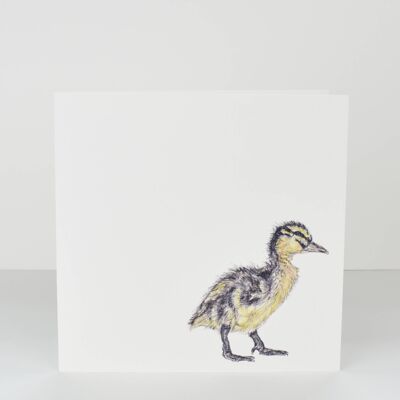 ducks and ducklings greetings card