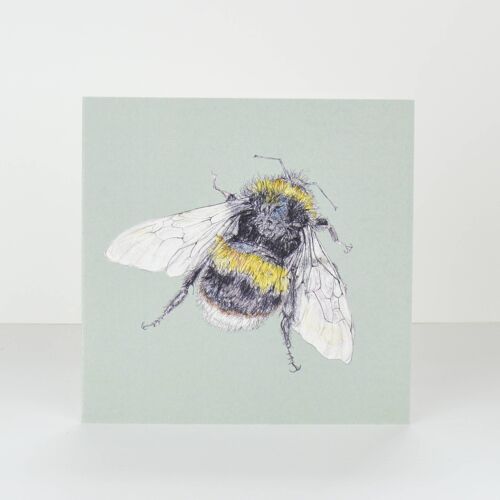 pale green bumble bee greetings card