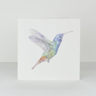 carte de voeux colibri
