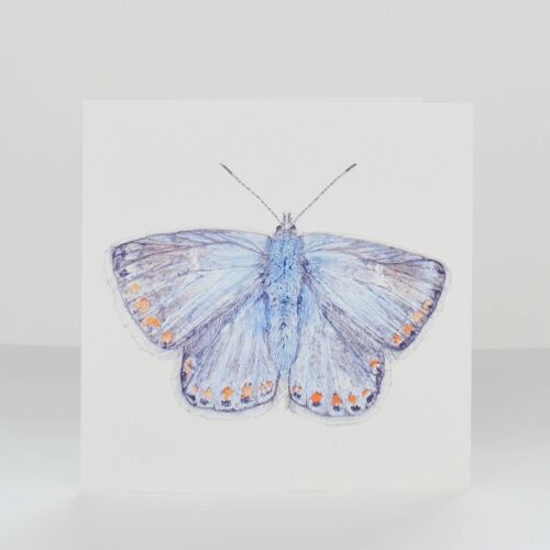 butterfly greetings card