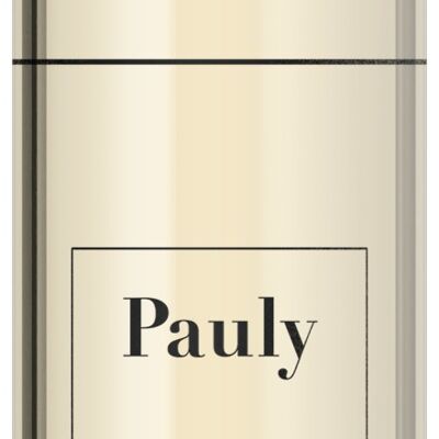 Vin Blanc - Allemagne Mosel Riesling Trocken Cuvée Purist Domaine Axel Pauly 2020