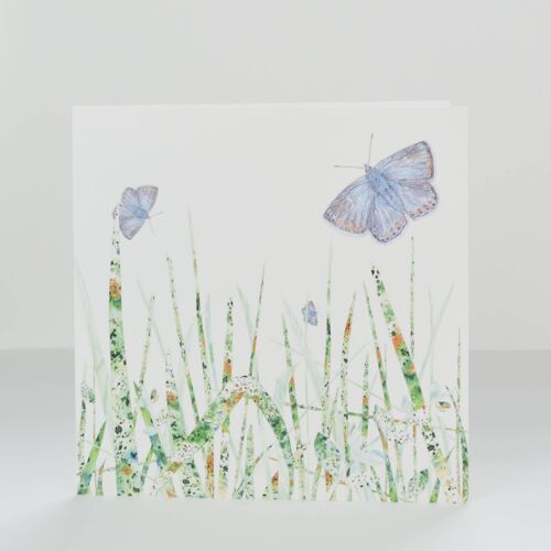 butterfly and grasses greetings card