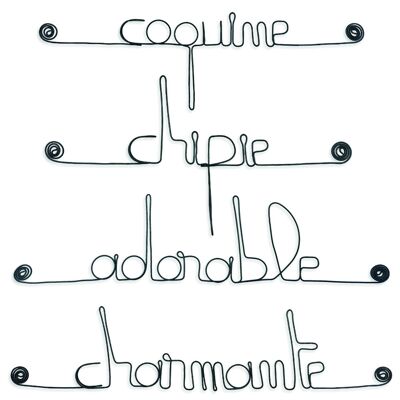Wall decoration to pin - Set of small wire messages - GIRL: Adorable, Chippy, Naughty, Charming - Child / Baby Room - Birth Gift