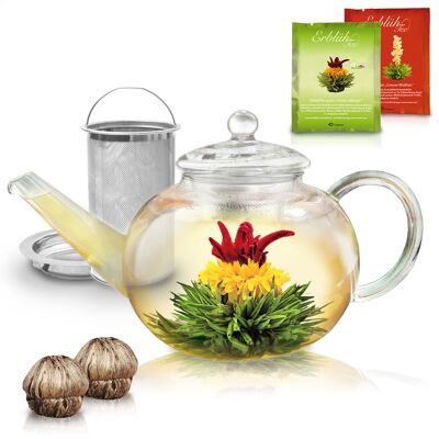 Creano glass teapot 1.2l, 3-part glass teapot with two tea balls ErbloomTee white tea