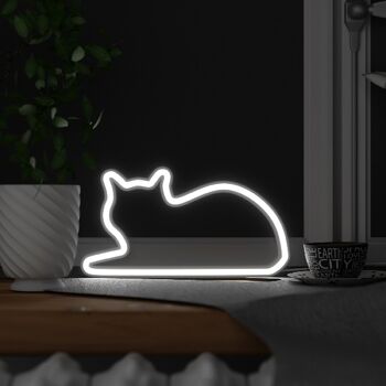 Lampe pour chat - Assis 1