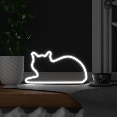 Luce per gatti - Seduto