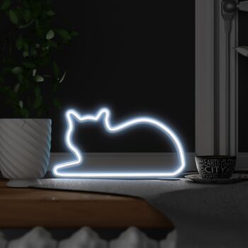 Lampe pour chat - Assis 2